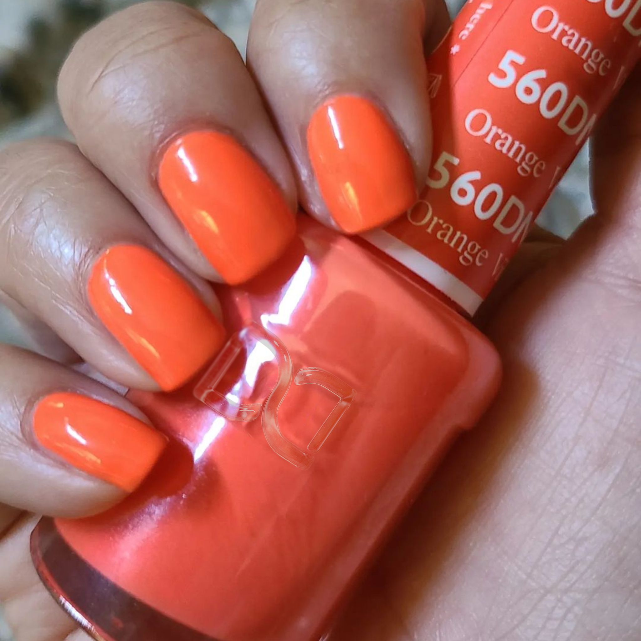 Orange Ville #560